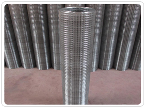 电镀锌电焊网 (2)